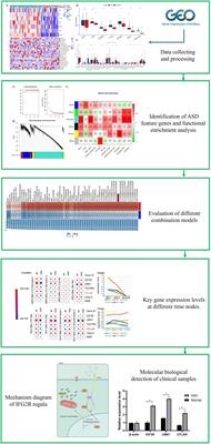 Unraveling the immunogenetic landscape of autism spectrum disorder: a comprehensive bioinformatics approach